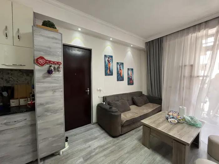 https://static.ss.ge/20260529/0_b7a4c4b9-a8fd-4824-b750-82f52ab71217_Thumb.jpg