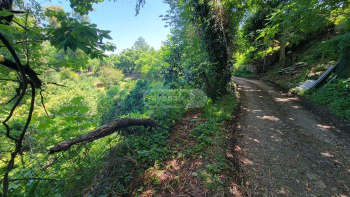 https://static.ss.ge/20260529/11_d53d1502-8826-486b-b9d9-b207e671a227_Thumb.jpg