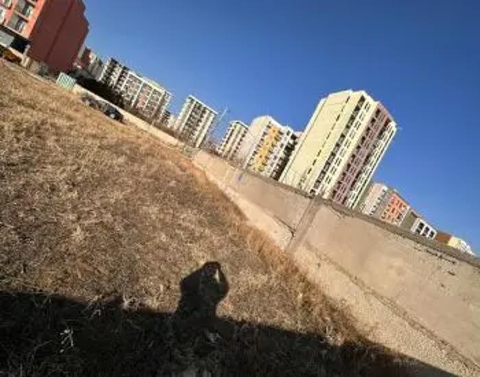 https://static.ss.ge/20260529/13_3db55d7f-a35a-4915-89fe-bd0c6afaebdc_Thumb.jpg
