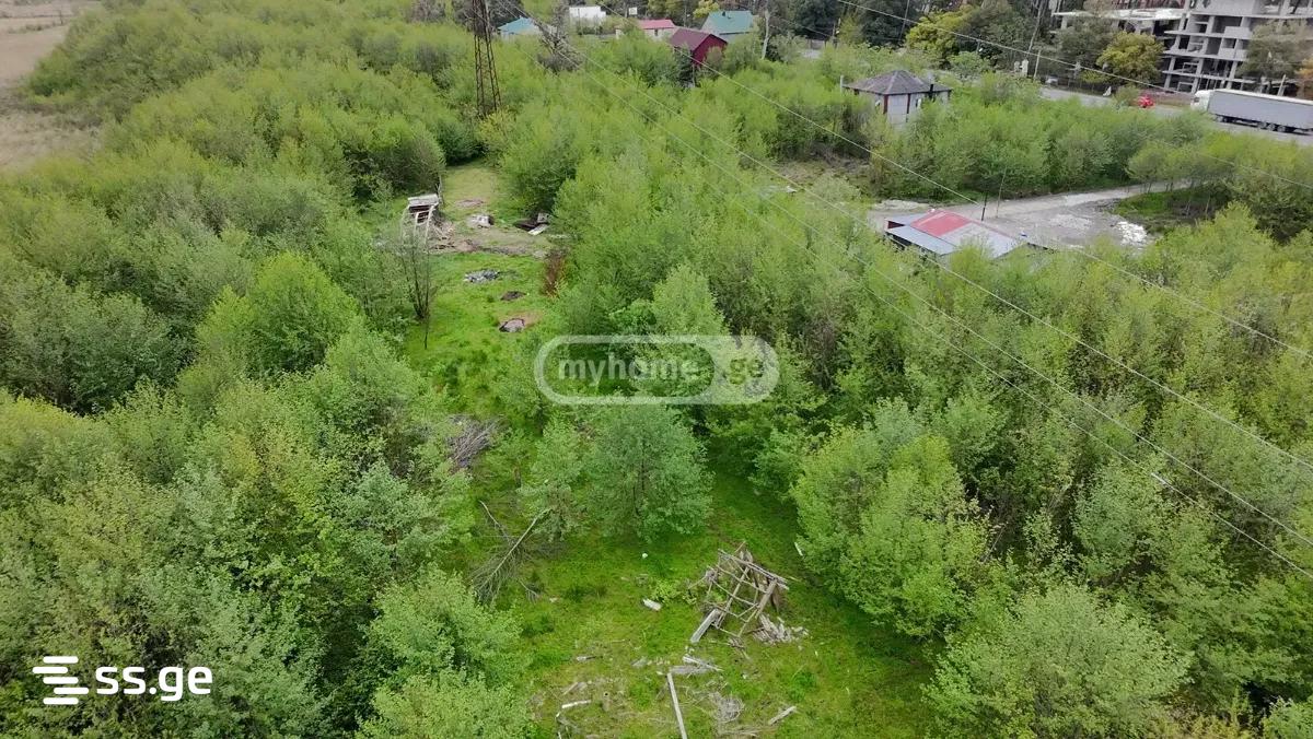 იყიდება მიწა გრიგოლეტიში view 3