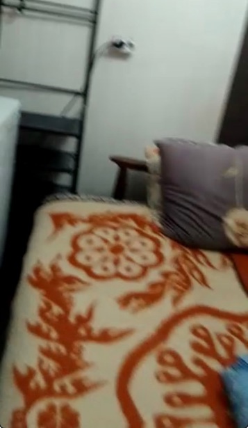 https://static.ss.ge/20260529/18_671f8d30-2ad2-4fa8-9019-dd271e254618_Thumb.jpg