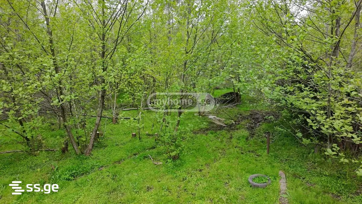 იყიდება მიწა გრიგოლეტიში view 6