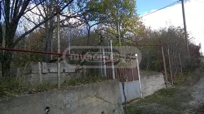 https://static.ss.ge/20260530/10_e61121e3-4f6a-43dd-925d-ea986802a6d1_Thumb.jpg