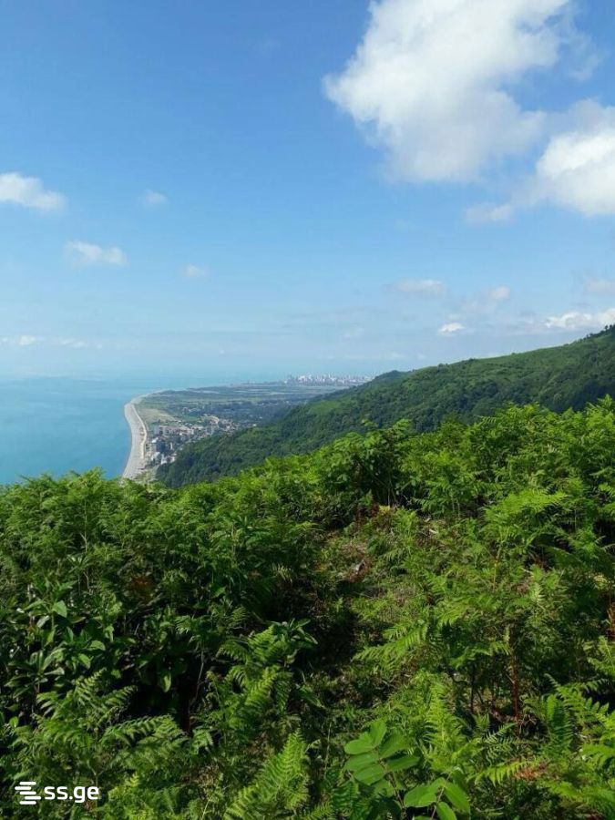 Land For Sale. Kvariati view 1
