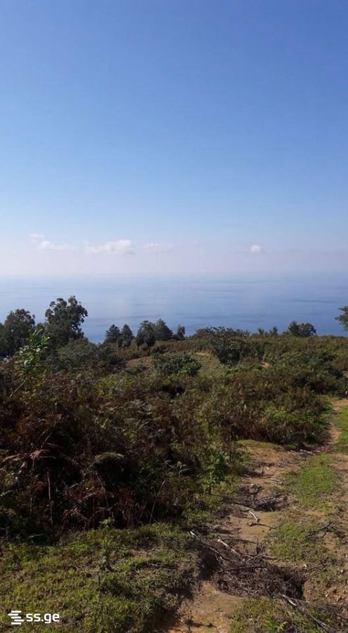 Land For Sale. Kvariati view 3