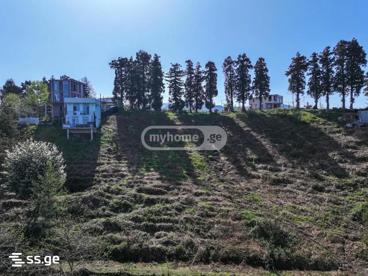 Land For Sale. Makhindjauri view 3