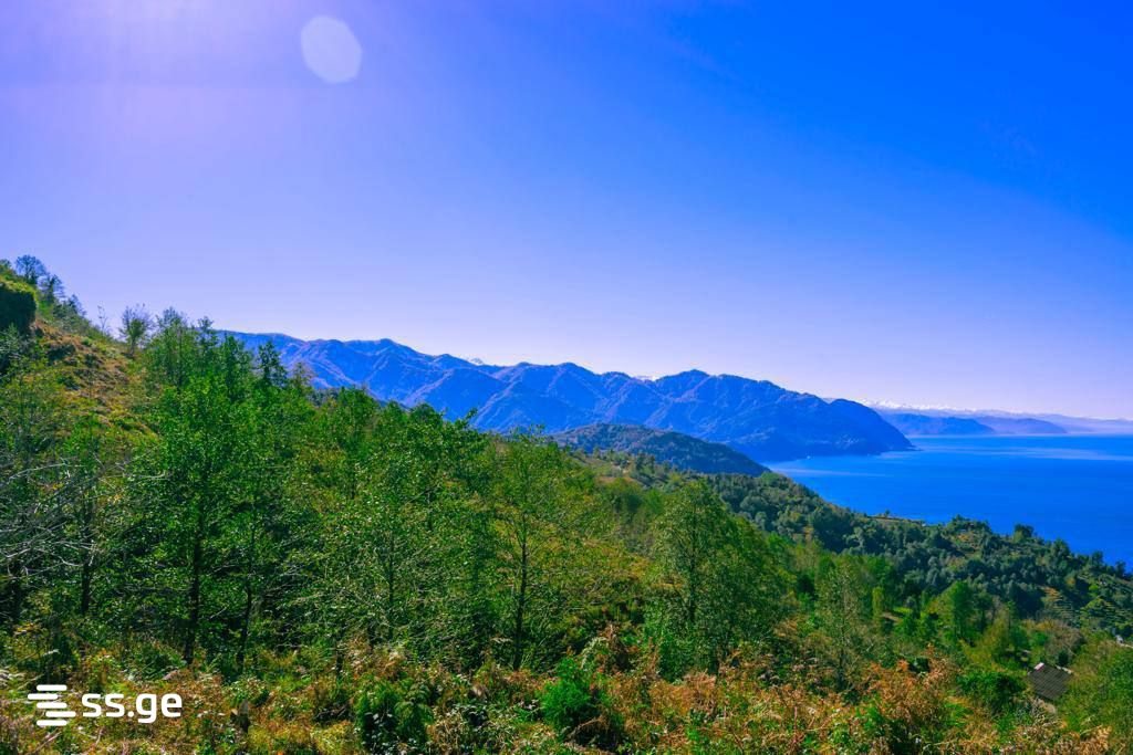 Land For Sale. Kvariati view 2