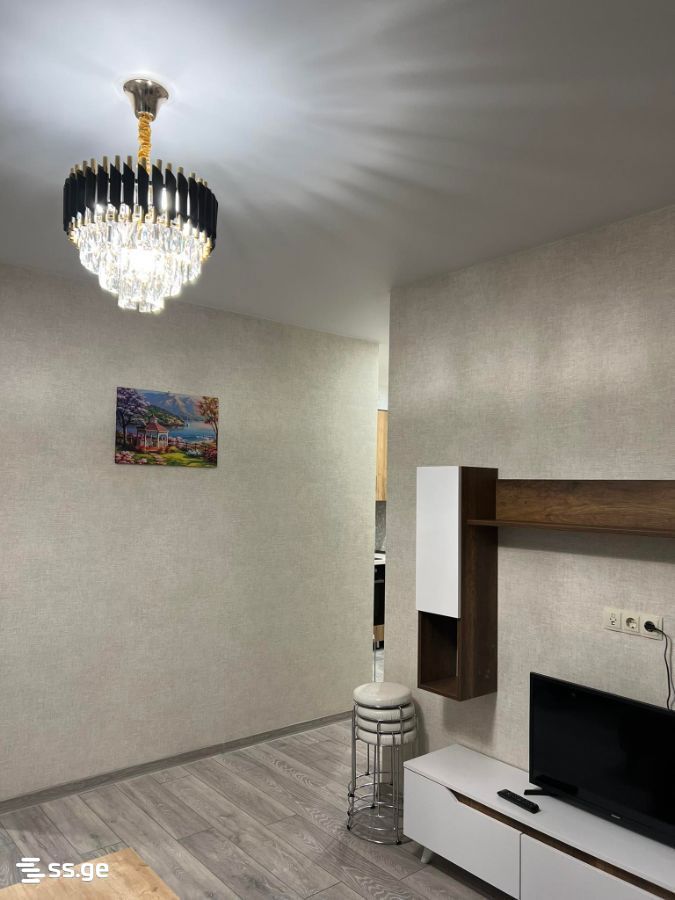 2 room Flat For Sale. Didi digomi - Ansicht 5