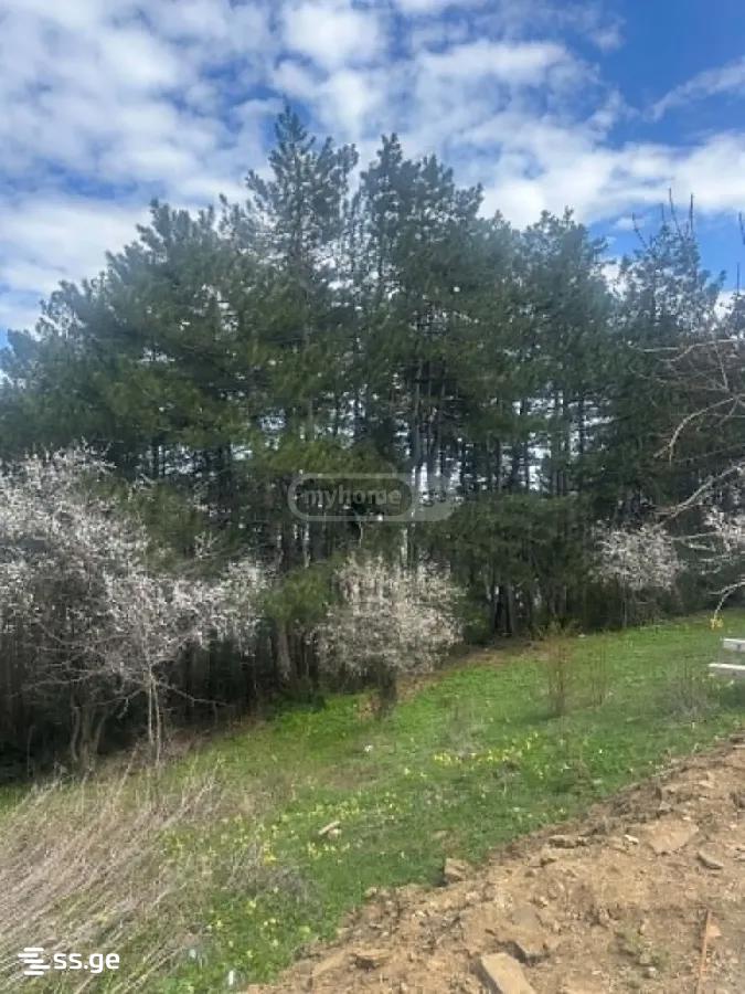 Land For Sale. Kojori view 2