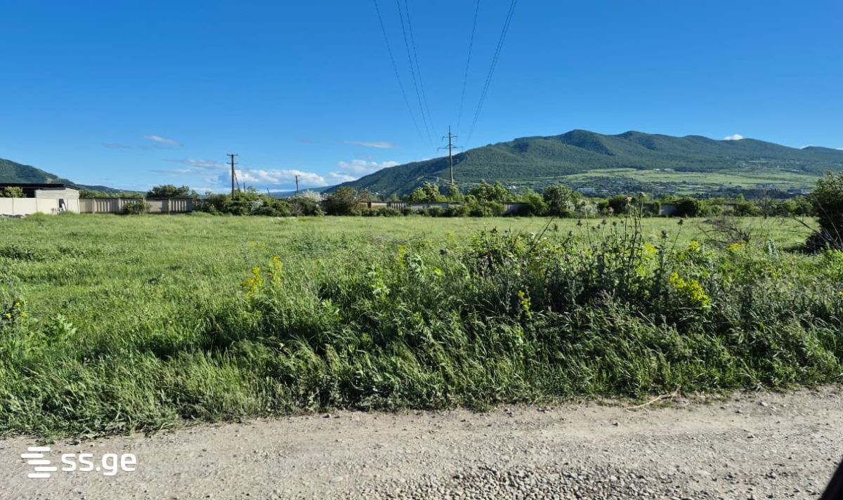 For Sale Sasoplo-Sameurneo Land Plot Mtskhetis Munitsipalitetshi view 16
