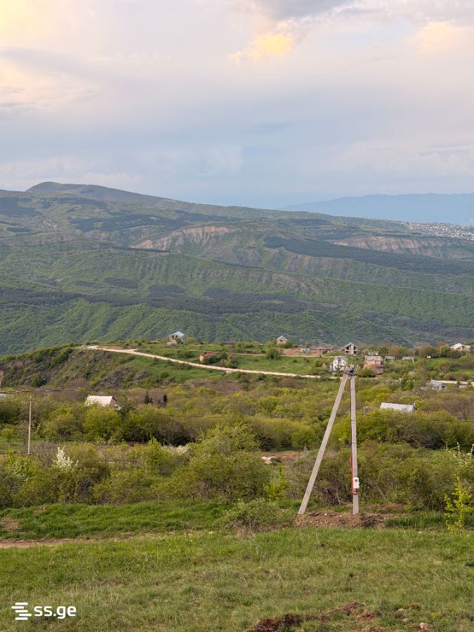 Land For Sale. Betania view 3