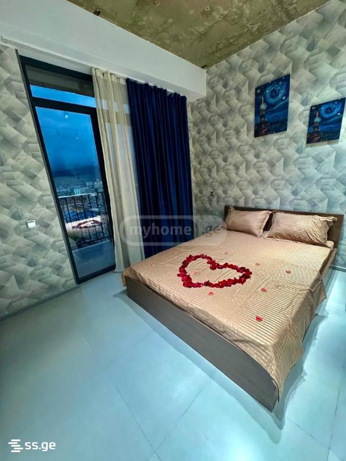 1 Room Flat Daily Rent. Rustavi view 5