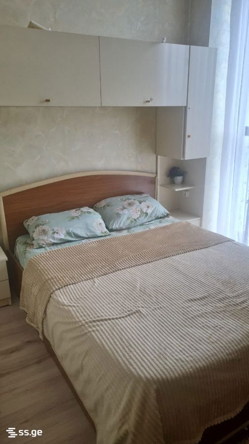 2 Room Flat Daily Rent. Didi Digomi view 10