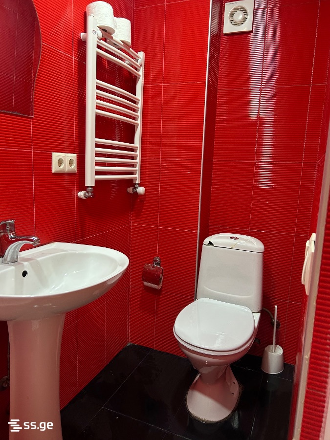 1 room Flat Daily rent. Saburtalo - Vaade 3