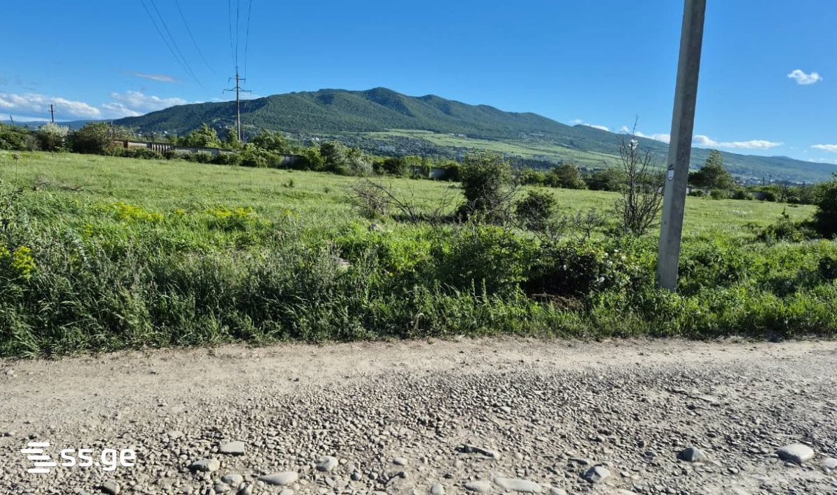 For Sale Sasoplo-Sameurneo Land Plot Mtskhetis Munitsipalitetshi view 17