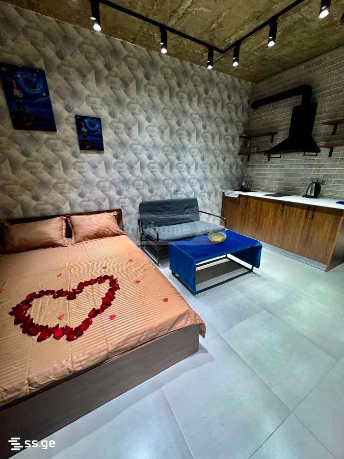 1 Room Flat Daily Rent. Rustavi view 11