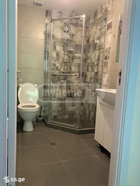 5 Room Summer Cottage For Rent. Didi Digomi view 8