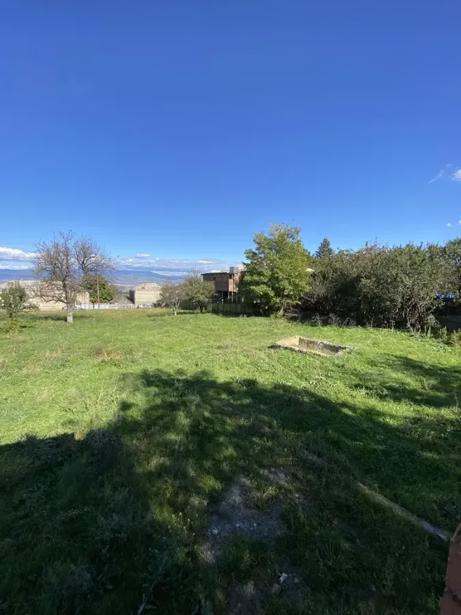 https://static.ss.ge/20260601/0_87864f2f-bebe-4b67-a073-0dc02de80d61_Thumb.jpg