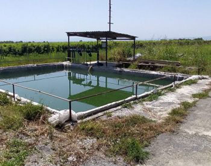 https://static.ss.ge/20260601/16_4b6441dd-bec2-4c81-a0a7-027fc32e573e_Thumb.jpg
