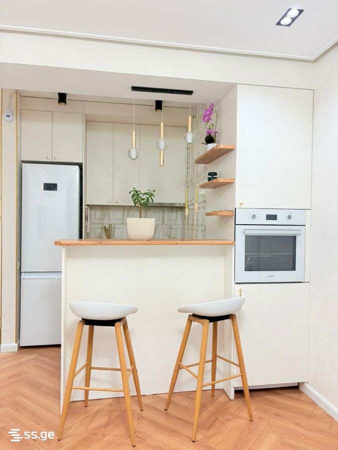 2 room Flat Daily rent. Mukhiani, Tbilisi