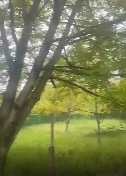 https://static.ss.ge/20260601/18_bcd02218-4c76-46d4-ae36-54beadce9aaa_Thumb.jpg