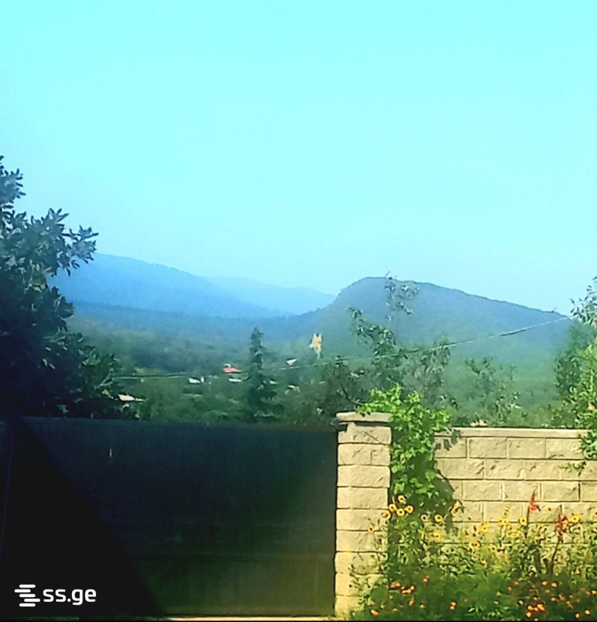 8 Room Private House For Sale view 14