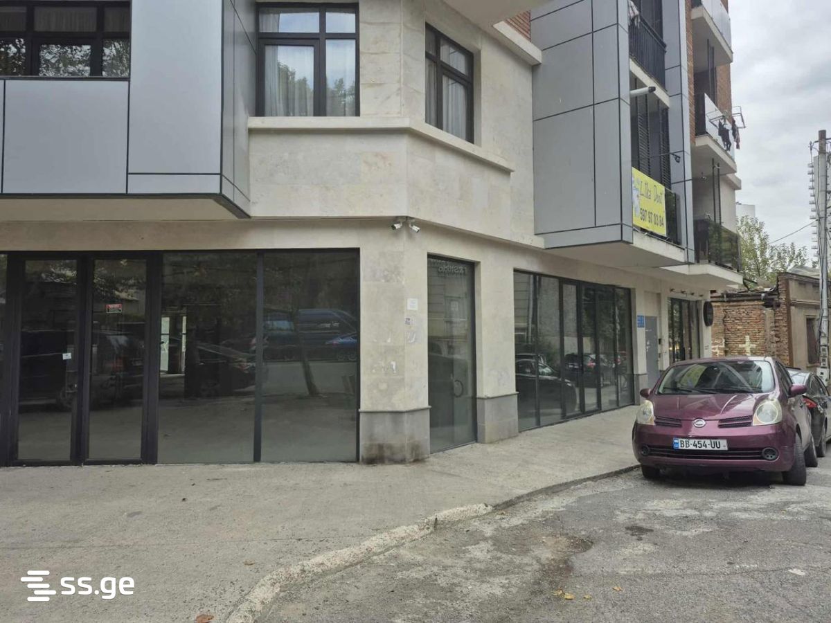 Commercial Space For Sale. Nadzaladevi view 2