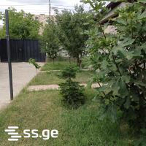 https://static.ss.ge/20260601/7_a425bd3a-e53d-49af-b802-5eb6c080ce78_Thumb.jpg