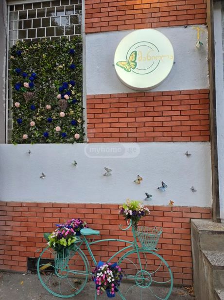 https://static.ss.ge/20260602/0_7e114a57-e3b3-4277-a91a-ce187d0da463_Thumb.jpg