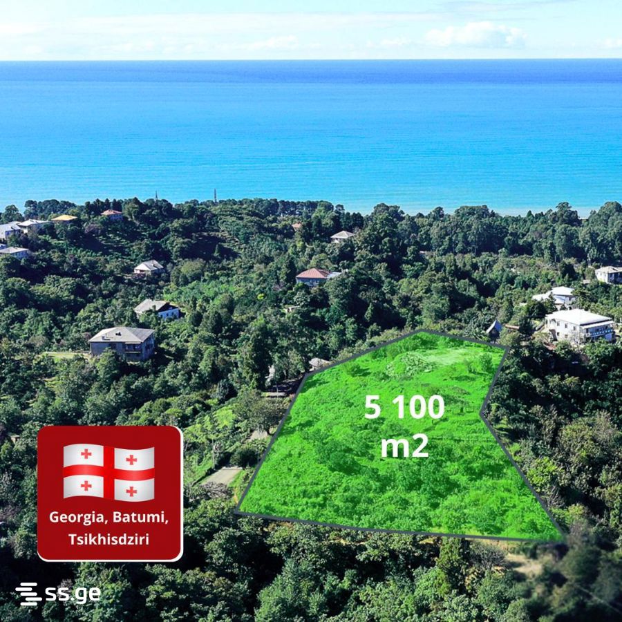Land For Sale. Tsikhisdziri view 1