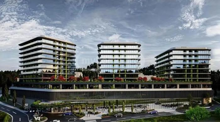 https://static.ss.ge/20260602/11_359ecfd5-4b95-4337-9fcb-a73896d8b0e1_Thumb.jpg