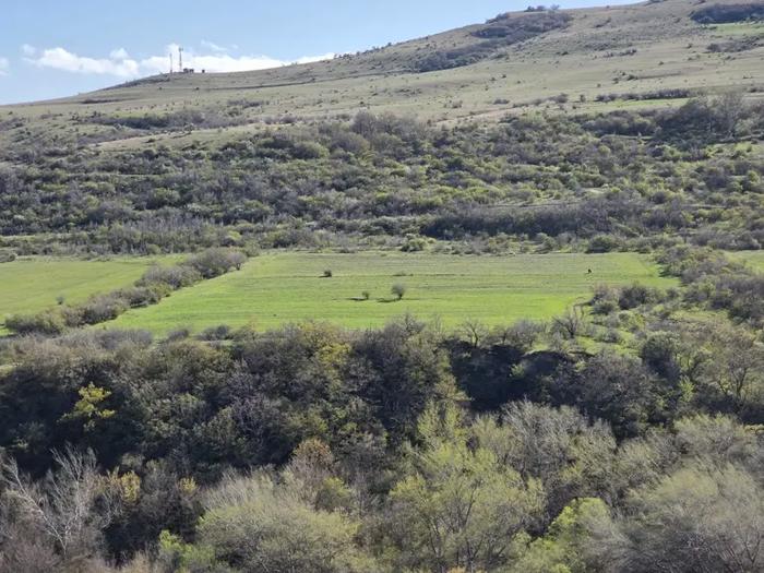 https://static.ss.ge/20260602/11_fd31a5cd-5b45-4a3f-aafc-442725e9ac70_Thumb.jpg