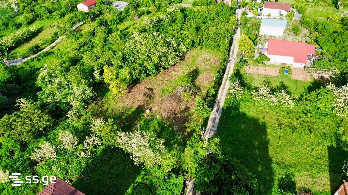 Land For Sale. Baghdati view 9