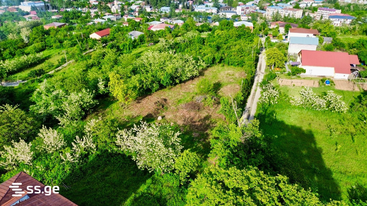 Land For Sale. Baghdati view 7
