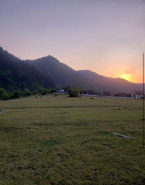 https://static.ss.ge/20260602/17_a0689e47-436e-494e-9e8a-a1ecd3c271b3_Thumb.jpg