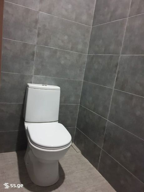 https://static.ss.ge/20260602/18_504ef842-2dcd-45e2-aaf2-0074fad344b6_Thumb.jpg