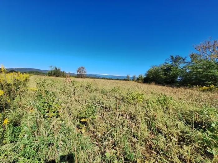 https://static.ss.ge/20260602/18_ff960644-6c50-47ee-8095-69a77f2de8ba_Thumb.jpg