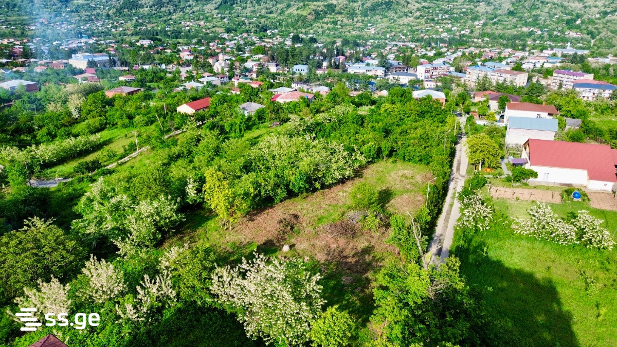 Land For Sale. Baghdati view 8