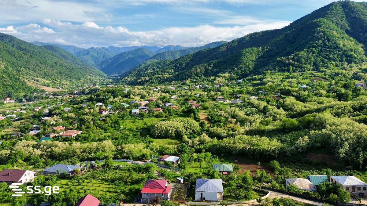 Land For Sale. Baghdati view 4