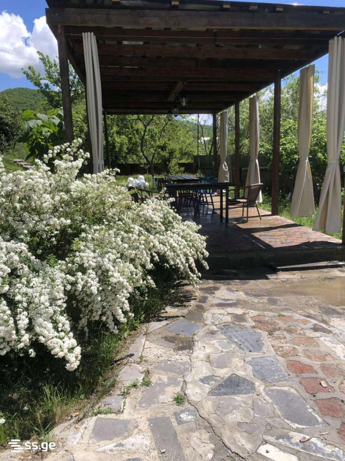 6 Room Private House Daily Rent. Saguramo view 10