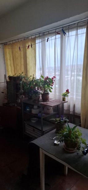 https://static.ss.ge/20260602/4_6a2b8f1a-bd41-4005-83ba-9fd8c299db58_Thumb.jpg