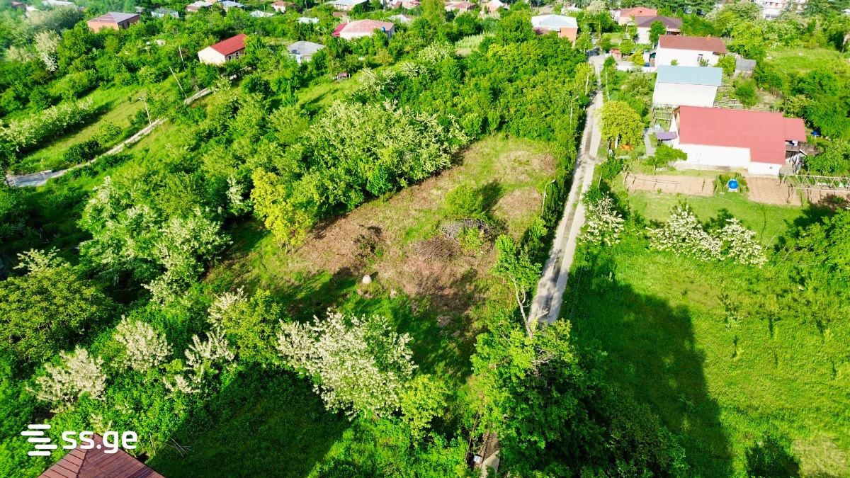 Land For Sale. Baghdati view 6