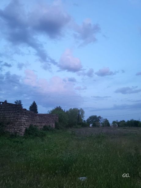 https://static.ss.ge/20260602/6_d8b78c46-e26e-44b1-b6da-8d9e6889ff81_Thumb.jpg