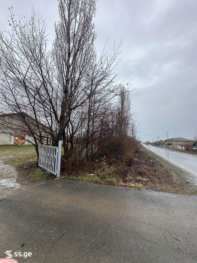 Store-Industrial Property For Sale. Akhmeta view 5
