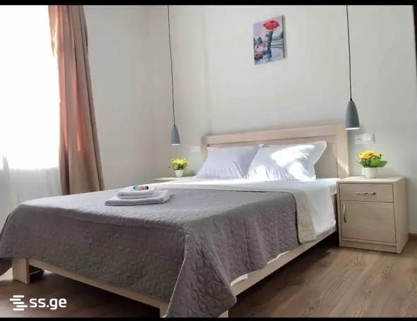 3 Room Flat For Rent. Chugureti view 3