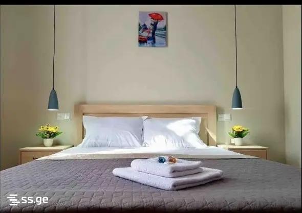 3 Room Flat For Rent. Chugureti view 10