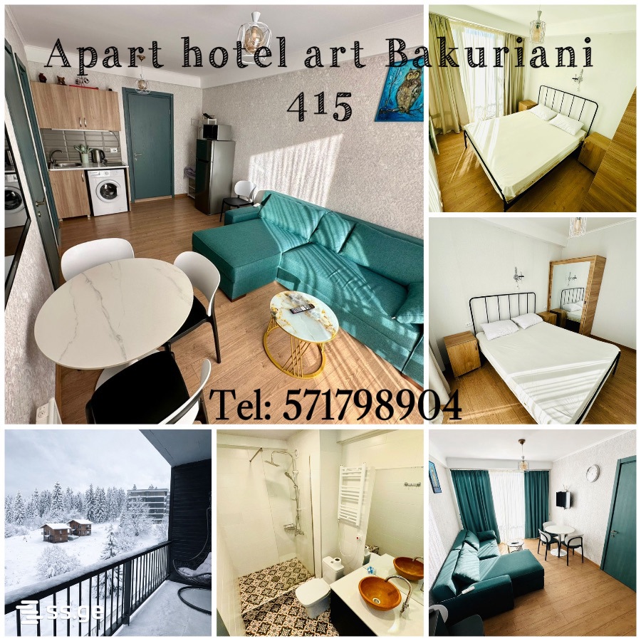 2 Room Flat For Rent. Bakuriani view 3