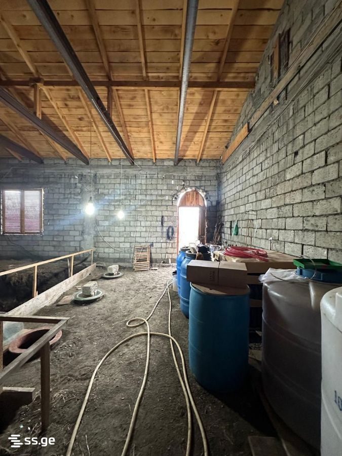 Store-Industrial Property For Sale. Akhmeta view 2