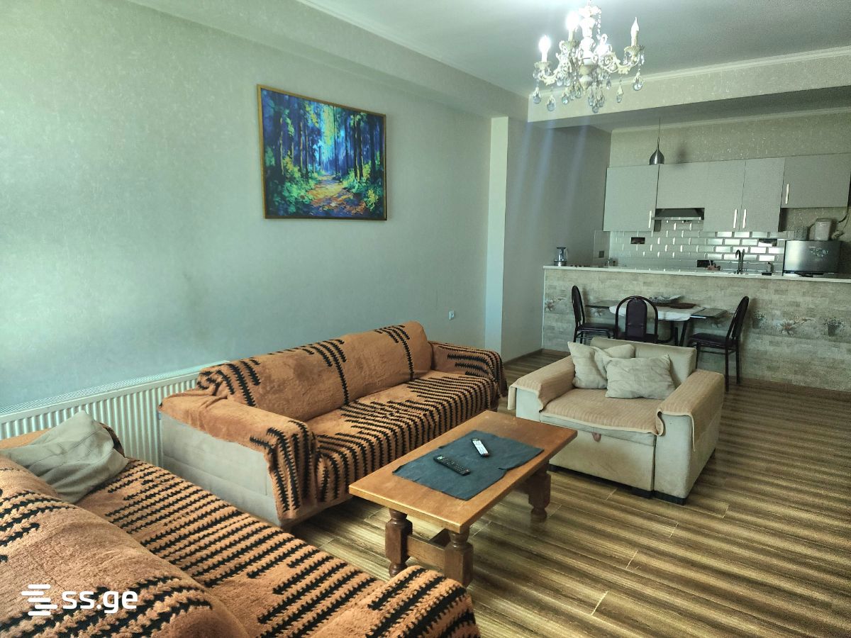 2 Room Flat Daily Rent. Gldani view 13