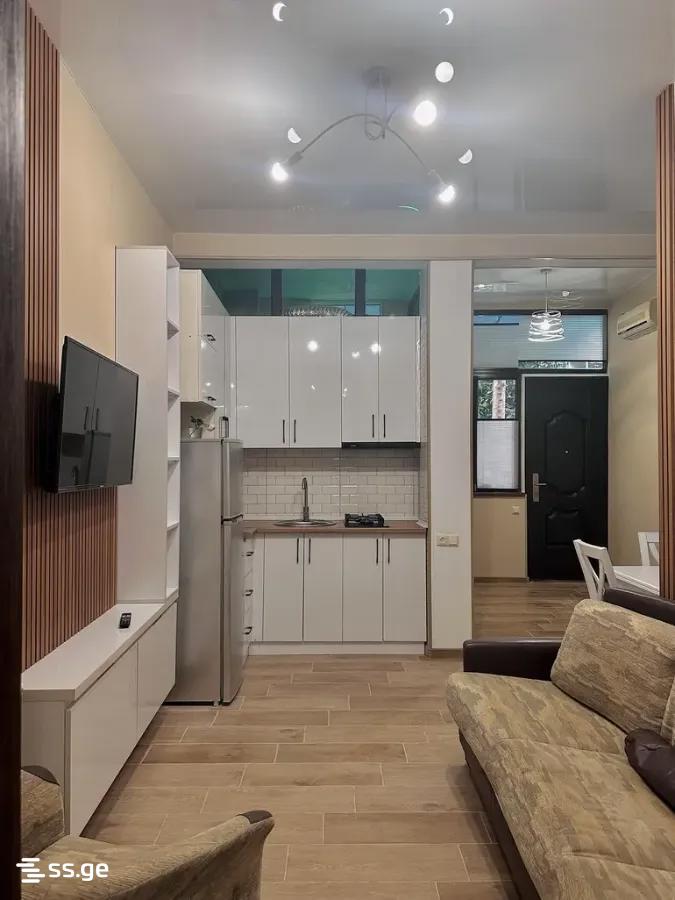 2 Room Flat For Rent. Chugureti view 9